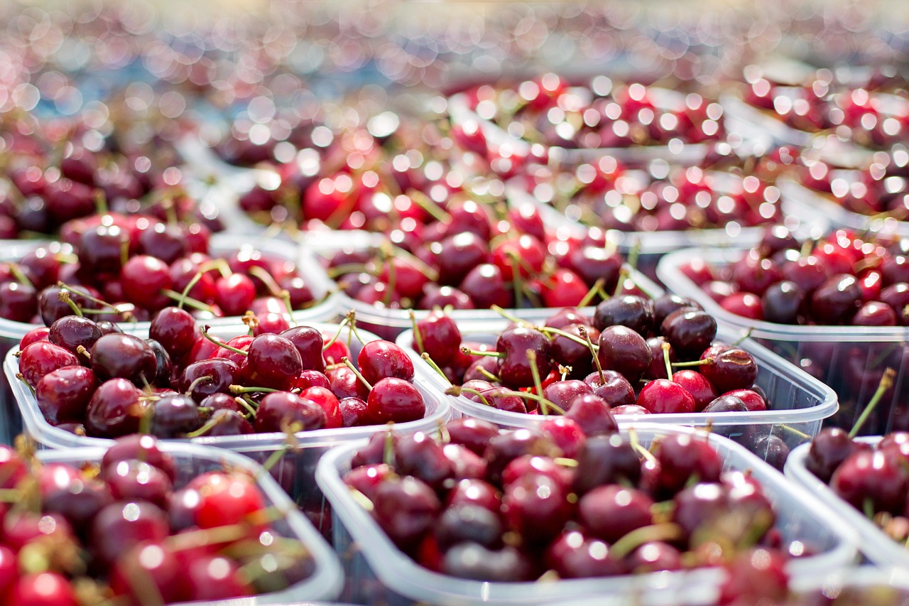 How to Use Market Indicators for Predictive Analysis
